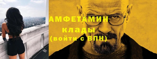 молекула духа Арсеньев