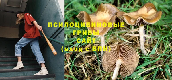 дмт Нязепетровск