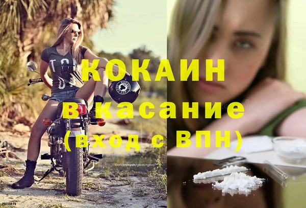 молекула духа Арсеньев