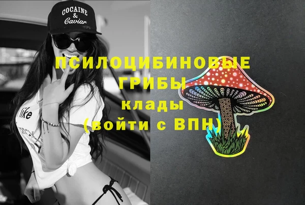 молекула духа Арсеньев