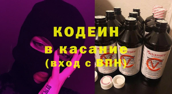 молекула духа Арсеньев