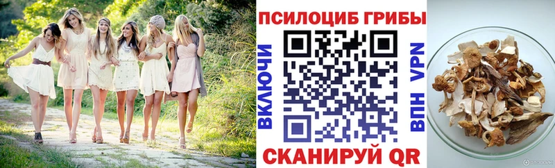 Галлюциногенные грибы ЛСД  Тюкалинск 